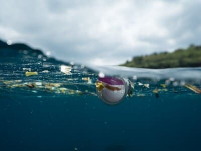 Πλαστική ρύπανση. Πλαστικά που βρίσκονται στους ωκεανούς μας